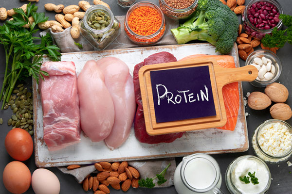 غذاهای-پروتئینی