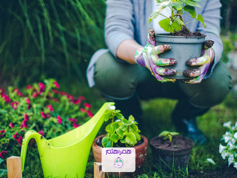 فواید باغبانی برای سلامت روان